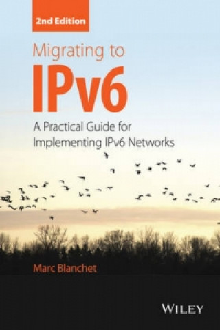 Migrating to IPv6