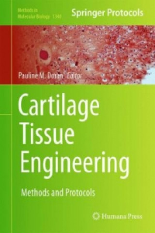 Cartilage Tissue Engineering
