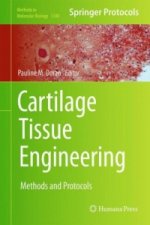 Cartilage Tissue Engineering