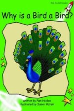 What Makes a Bird a Bird?