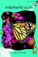 Butterfly's Life
