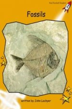 Fossils