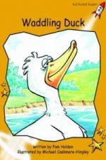 Waddling Duck