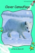 Clever Camouflage