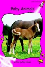 Baby Animals