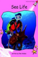 Sea Life