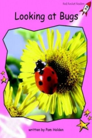 Looking at Bugs