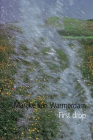 Marijke Van Warmerdam
