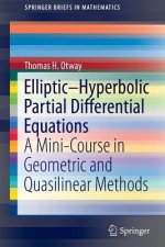 Elliptic-Hyperbolic Partial Differential Equations
