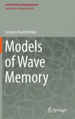 Models of Wave Memory