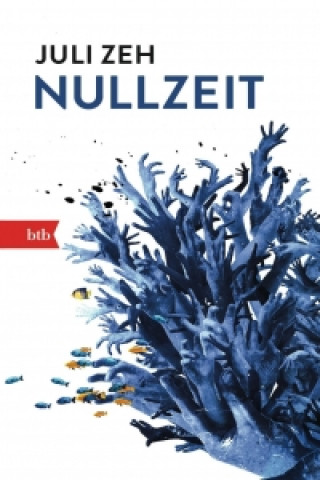 Nullzeit