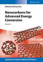 Nanocarbons for Advanced Energy Storage