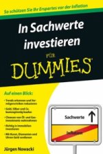 In Sachwerte investieren fur Dummies