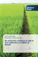 economic analysis of risk in rice cultivation in UBVZ of Assam