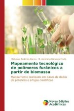 Mapeamento tecnologico de polimeros furanicos a partir de biomassa