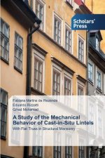 Study of the Mechanical Behavior of Cast-in-Situ Lintels