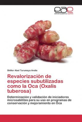 Revalorizacion de especies subutilizadas como la Oca (Oxalis tuberosa)