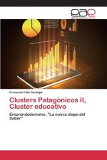 Clusters Patagonicos II, Cluster educativo