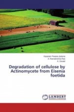 Degradation of cellulose by Actinomycete from Eisenia foetida