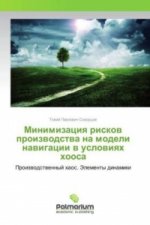 Minimizaciya riskov proizvodstva na modeli navigacii v usloviyah hoosa
