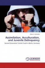 Assimilation, Acculturation, and Juvenile Delinquency
