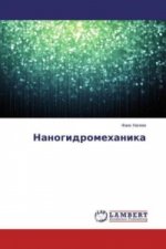 Nanogidromehanika