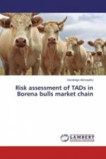 Risk assessment of TADs in Borena bulls market chain