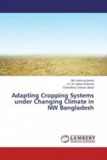 Adapting Cropping Systems under Changing Climate in NW Bangladesh