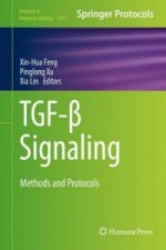 TGF-  Signaling