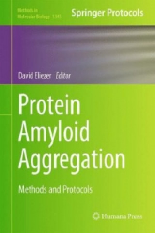 Protein Amyloid Aggregation