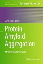 Protein Amyloid Aggregation