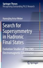 Search for Supersymmetry in Hadronic Final States