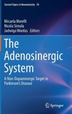 Adenosinergic System