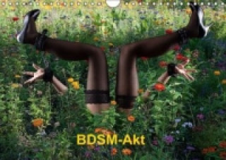 BDSM-Akt (Wandkalender 2016 DIN A4 quer)