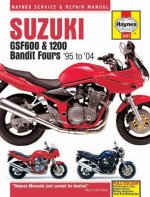Suzuki GSF600, 650 & 1200 Bandit Fours (95-06)