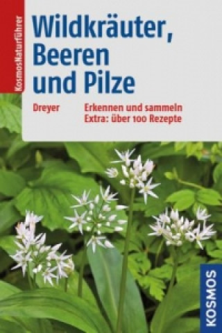 Wildkräuter, Beeren und Pilze