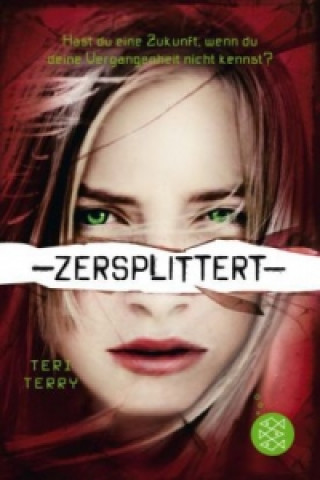Slated trilogy - Zersplittert