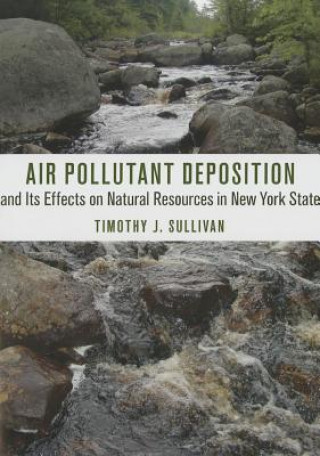 Air Pollutant Deposition and Its Effects on Natural Resources in New York State