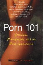 Porn 101