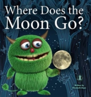 Where Does the Moon Go?