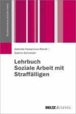 Lehrbuch Soziale Arbeit mit Straffälligen