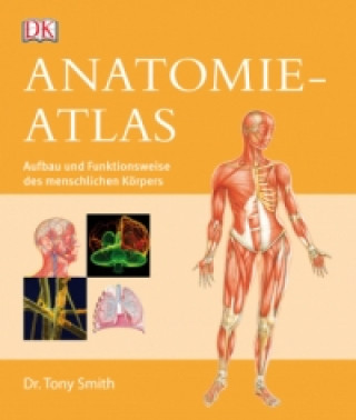 Anatomie-Atlas