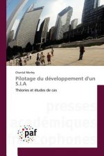 Pilotage Du Developpement d'Un S.I.a