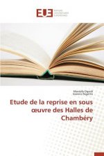 Etude de la Reprise En Sous Uvre Des Halles de Chambery