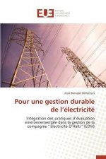 Pour Une Gestion Durable de L Electricite