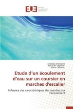 Etude D Un Ecoulement D Eau Sur Un Coursier En Marches d'Escalier