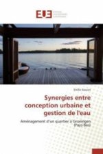 Synergies entre conception urbaine et gestion de l'eau