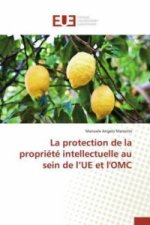 La protection de la propriété intellectuelle au sein de l'UE et l'OMC