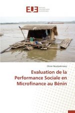 Evaluation de la Performance Sociale En Microfinance Au Benin