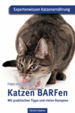 Katzen BARFen